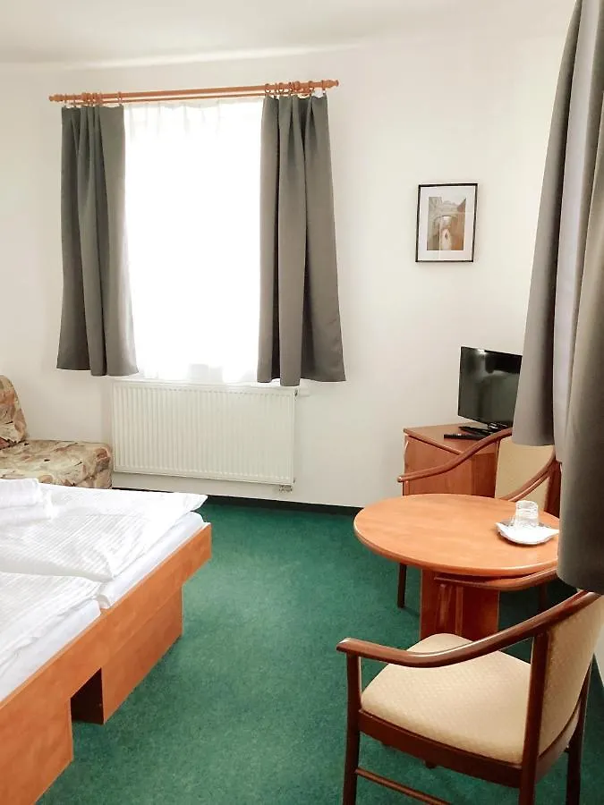 Hotel Karolina Karlovy Vary 3*,