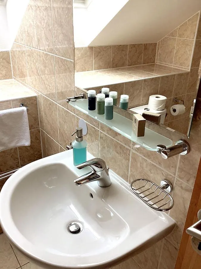 Hotel Karolina Karlovy Vary 3*,